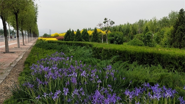 標題：張家口經開區秋季清水河生態綠廊建
瀏覽次數：2274
發表時間：2020-10-16