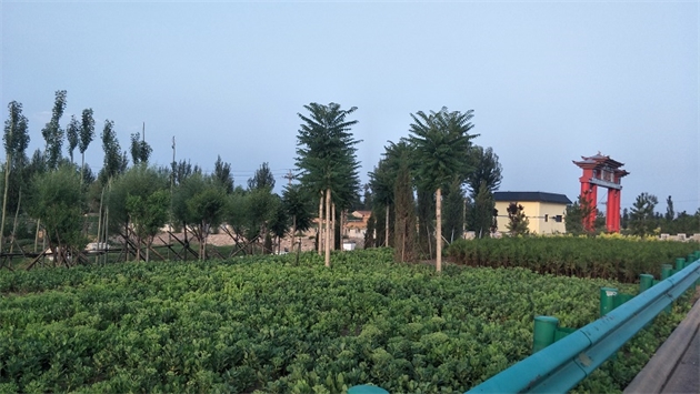 標題：張家口經開區腰站堡飲用水源地生態涵養綠化
瀏覽次數：2573
發表時間：2020-10-16