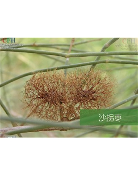 標題：名貴樹種
瀏覽次數：1656
發表時間：2020-10-17