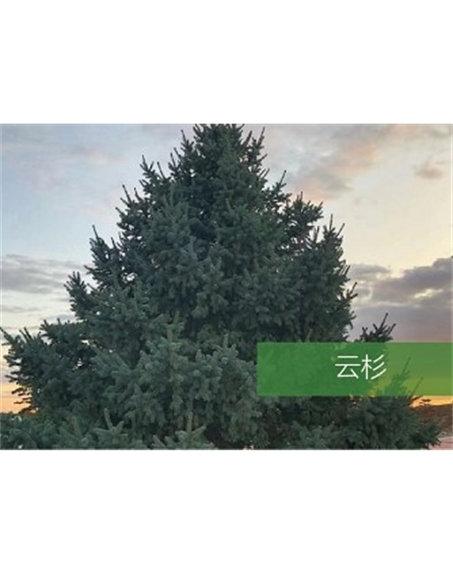 標(biāo)題：?jiǎn)坦嗄?瀏覽次數(shù)：2200
發(fā)表時(shí)間：2020-10-17
