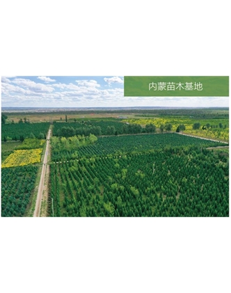 標題：苗木基地
瀏覽次數：2046
發表時間：2020-10-17