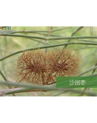 標(biāo)題：名貴樹種
瀏覽次數(shù)：1521
發(fā)表時間：2020-10-17